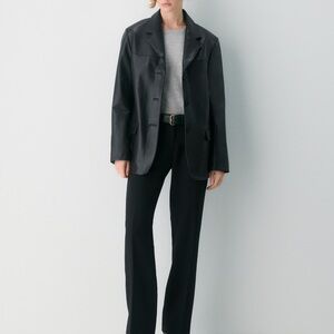 Babaton Aritzia wool pants